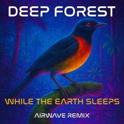 While the Earth Sleeps (Airwave Remix)