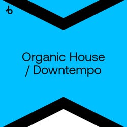 Best New Hype Organic House/Downtempo: July