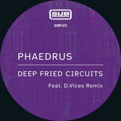 Deep Fried Circuits