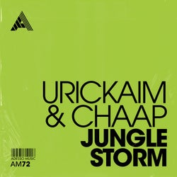 Jungle Storm - Extended Mix