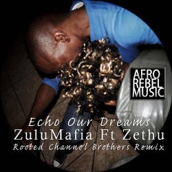 Echo Our Dreams: Rooted Channel Brothers Remix