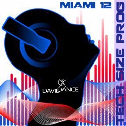 Tech Size Prog Miami 2012 (compilation)