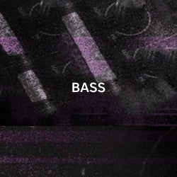 The Future is Female: Bass