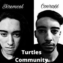 Turtles Community