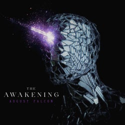 THE AWAKENING
