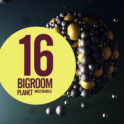 16 Bigroom Planet Multibundle