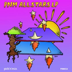 PNM All Stars LP
