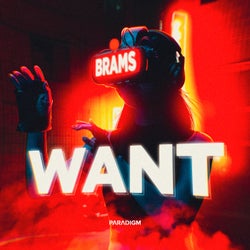 Want (Extended Mix)