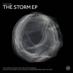 The Storm