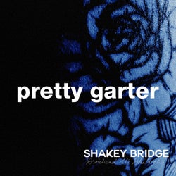 Shakey Bridge