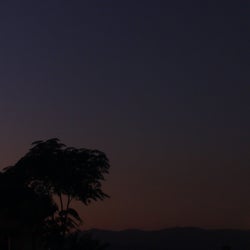 Ecosistemas