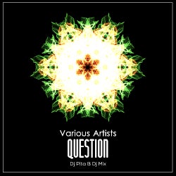 Various Artists - Question (Dj Pita B Dj Mix)