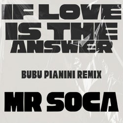 IF LOVE IS THE ANSWER WHAT IS THE QUESTION (BUBU PIANINI RMX)