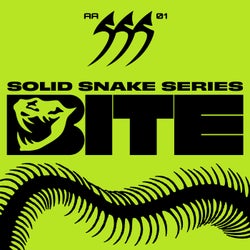 Solid Snake Series 01