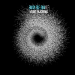 Feel (D-Echo Project Remix)