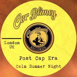 Calm Summer Night