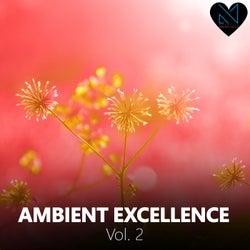 Ambient Excellence, Vol. 2