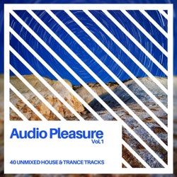 Audio Pleasure Vol.1 (Radio Edits)