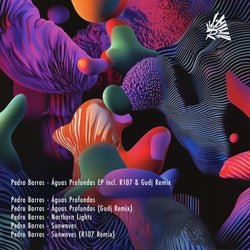 Águas Profundas incl. R107 & Gudj Remix