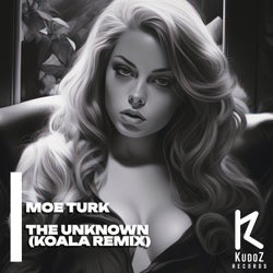 The Unknown (Koala Remix)