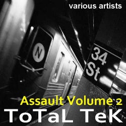 Total Tek Assault 2