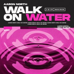 Walk On Water (Extended Mix)