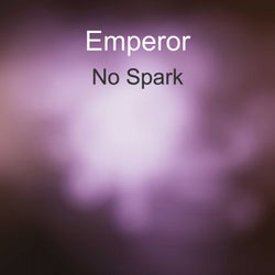 No Spark