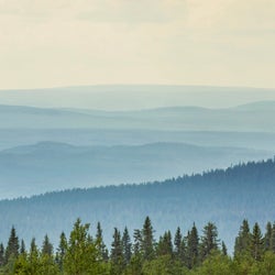 Horizon