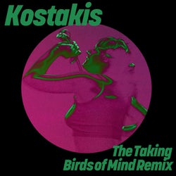 The Taking (Birds of Mind Remix)