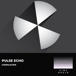 Pulse Echo