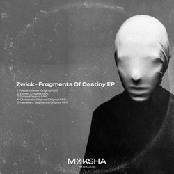 Fragments of destiny