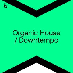 Best New Organic House / Downtempo: August