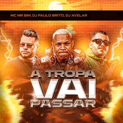 A Tropa Vai Passar
