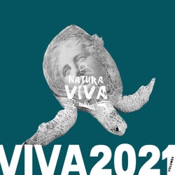 Viva 2021.4