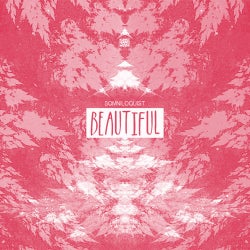 "Beautiful" Charts