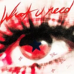 what u need