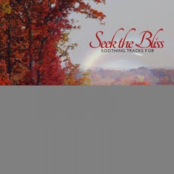 Seek The Bliss - Soothing Tracks For Deep Relaxation, Calmness & Serenity