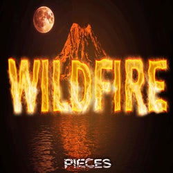 Wildfire (Extended Mix)