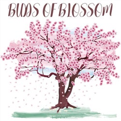 Buds of Blossom
