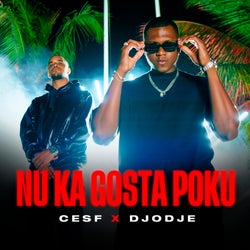 Nu Ka Gosta Poku