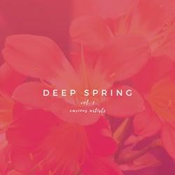 Deep Spring, Vol. 1