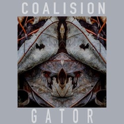 Gator