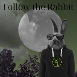 Follow The Rabbit