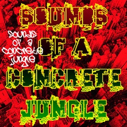 Sounds of a Concrete Jungle