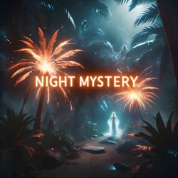 Night Mystery