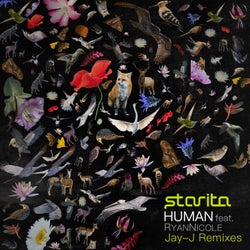Human (Jay-J Remixes)