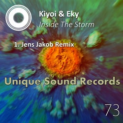 Inside The Storm (Jens Jakob Remix)