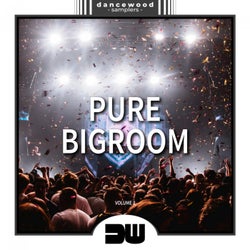 Pure Bigroom, Vol. 2