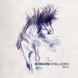 Bosconi Stallions Vol.2 - !0 Years Of Bosconi Records