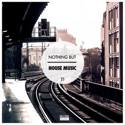 Nothing but House Music, Vol. 25
